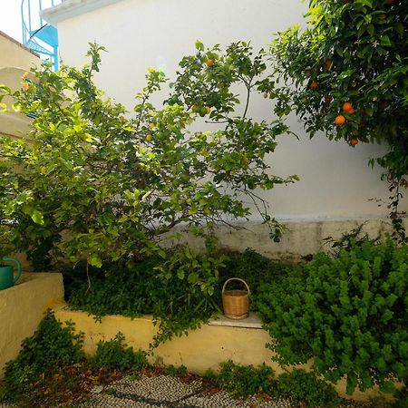 Archontiko Pataka Apartment Rhodes City Bagian luar foto