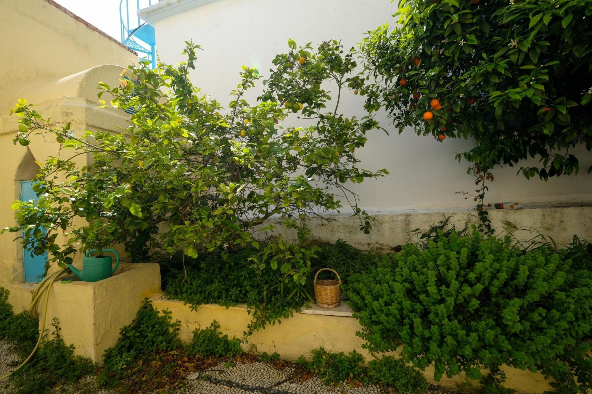 Archontiko Pataka Apartment Rhodes City Bagian luar foto