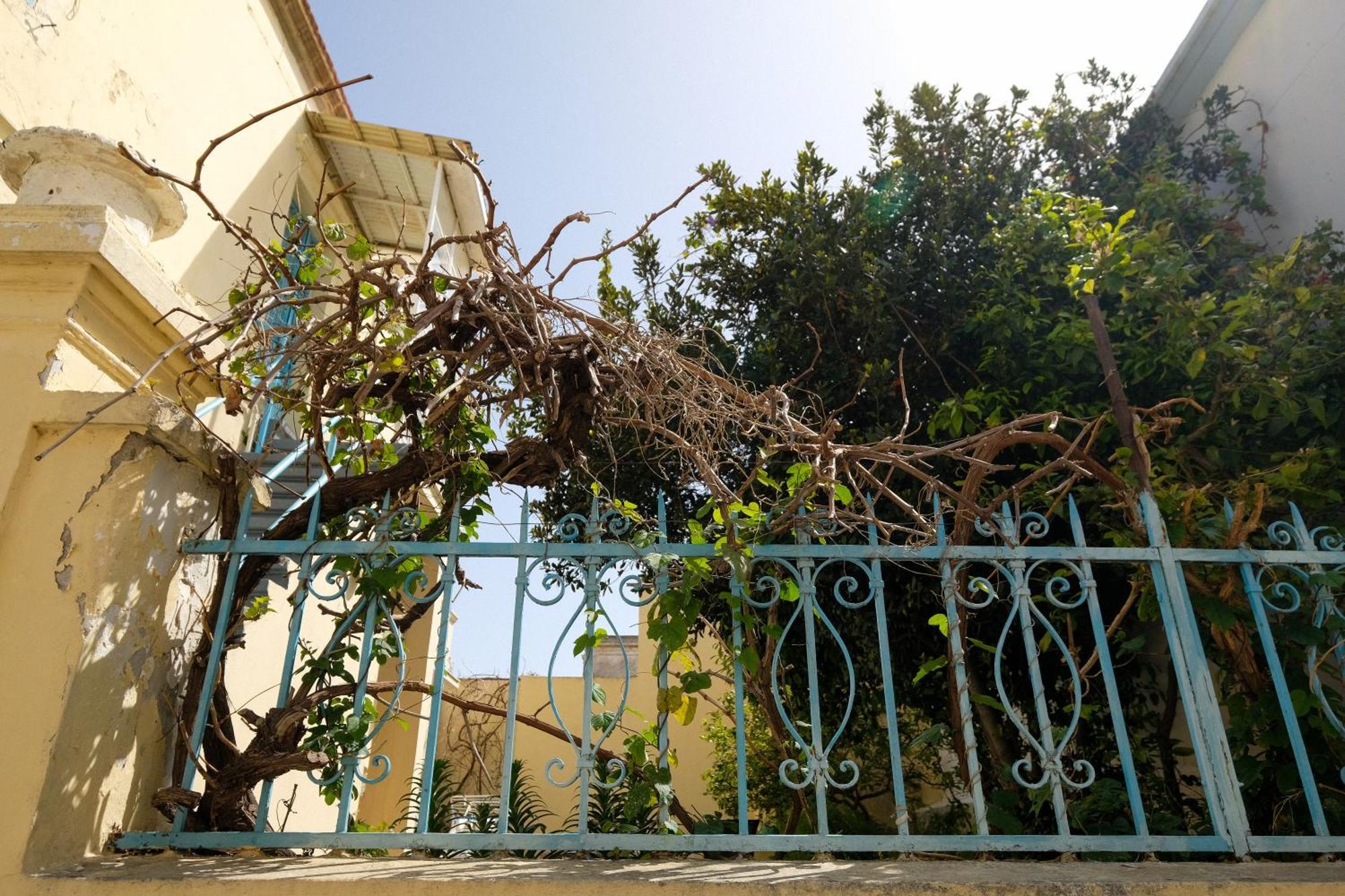 Archontiko Pataka Apartment Rhodes City Bagian luar foto